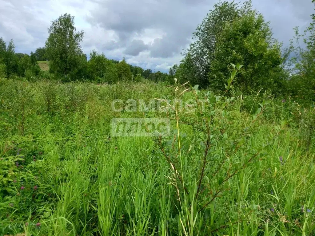 Участок в Свердловская область, Ачитский городской округ, пос. ... - Фото 1