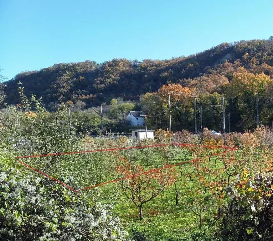 Участок в Севастополь Заречный садовое товарищество, 42 (4.2 сот.) - Фото 1