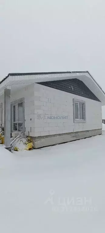 Дом в Нижегородская область, Богородский муниципальный округ, д. ... - Фото 1