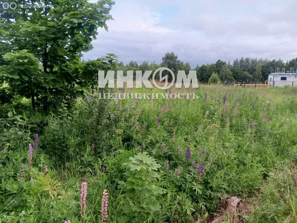 Дом в Московская область, городской округ Домодедово, деревня ... - Фото 0