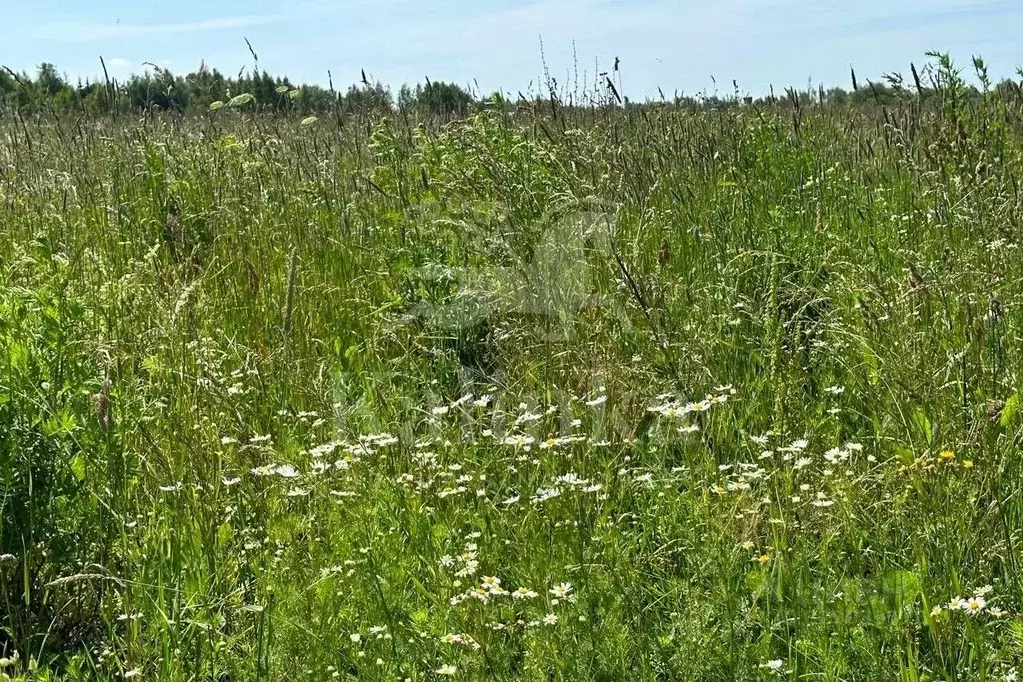 Участок в Московская область, Одинцовский городской округ, Мэдисон ... - Фото 0