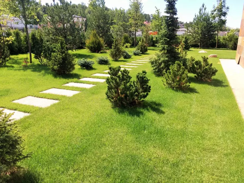 Дом в Московская область, Одинцовский городской округ, д. Жуковка  ... - Фото 1