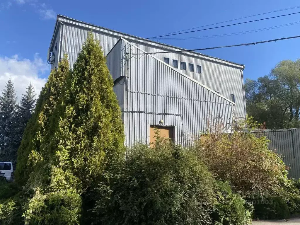 Склад в Калининградская область, Калининград Яблочная ул., 44 (5655 м) - Фото 2