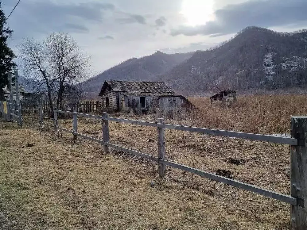 Участок в Алтай, Шебалинский район, с. Мыюта Трактовая ул. (15.0 сот.) - Фото 1