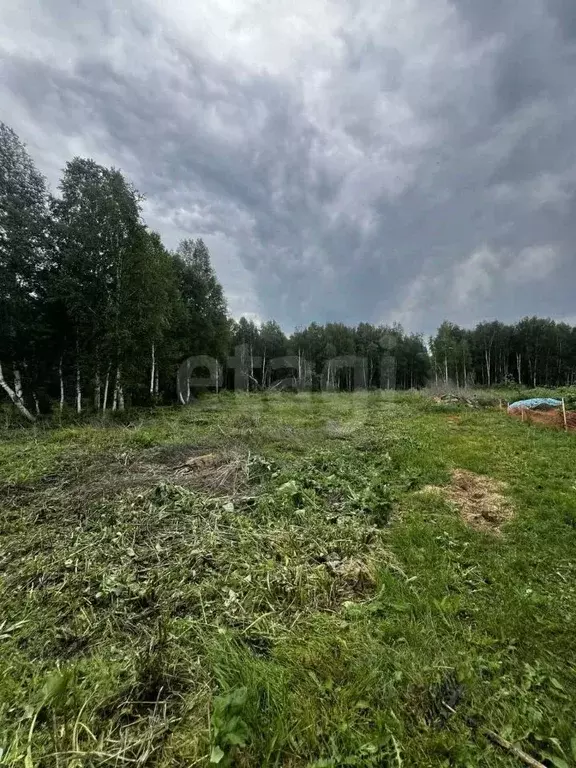 Участок в Тюменская область, Нижнетавдинский муниципальный округ, ... - Фото 0