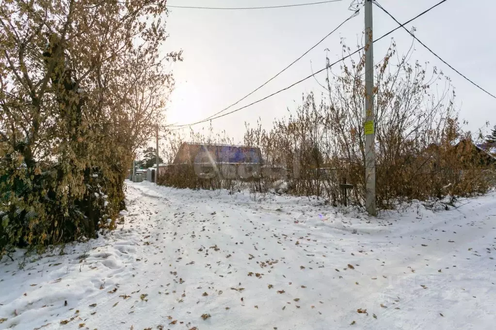 Участок в Новосибирская область, Новосибирск Радуга садовое ... - Фото 2