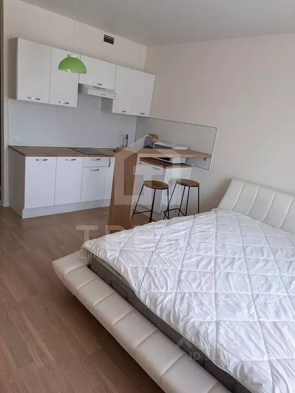 Студия Санкт-Петербург Дальневосточный просп., 33к1 (27.0 м) - Фото 1