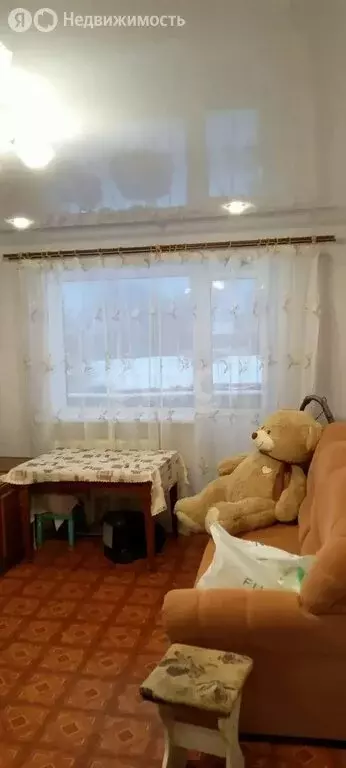 1-комнатная квартира: село Айша, Светлая улица, 10 (30 м) - Фото 2