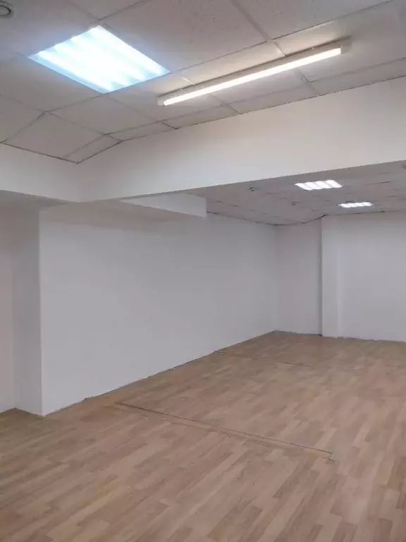 Торговая площадь в Новосибирская область, Бердск Первомайская ул., 5/6 ... - Фото 1