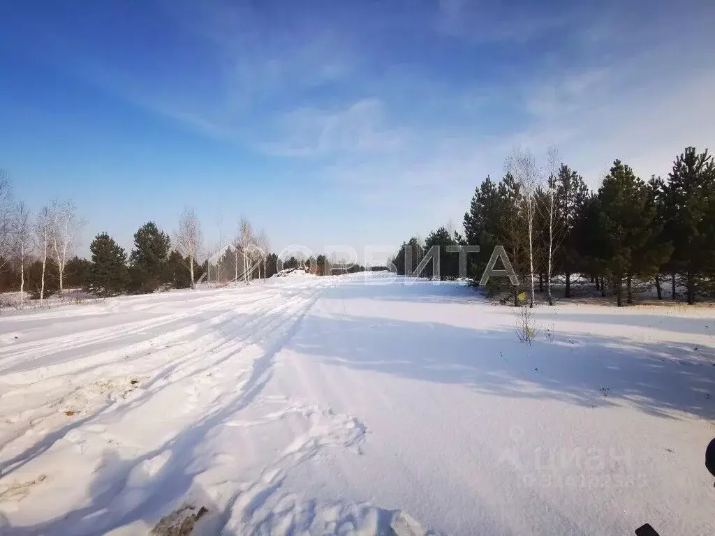 Участок в Тюменская область, Тюменский район, Новокаменский кп ул. ... - Фото 0