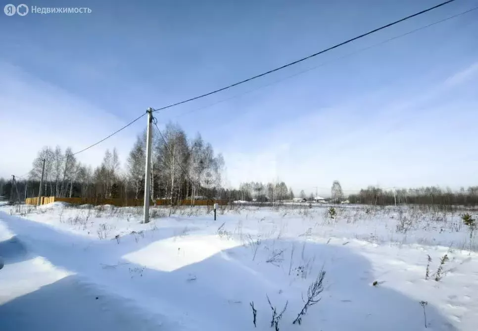 Участок в Станционный сельсовет, коттеджный посёлок Никольский парк ... - Фото 2