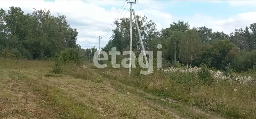 участок в красноярский край, емельяновский район, с. частоостровское . - Фото 1