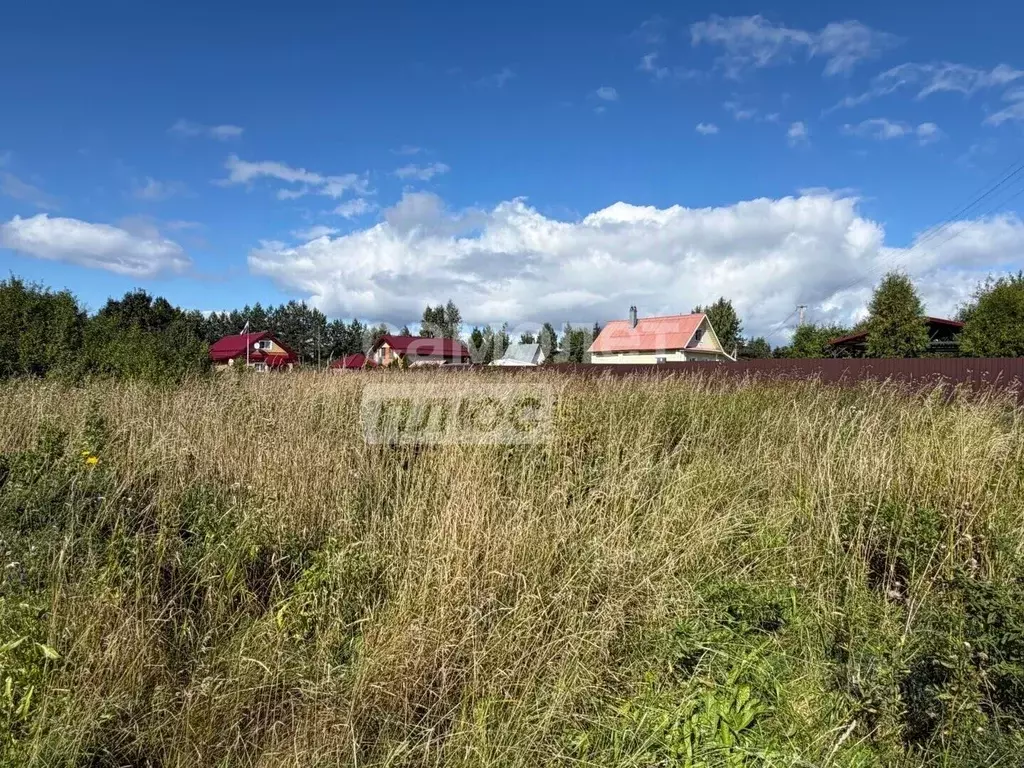 Участок в Вологодская область, д. Воздвиженье  (13.95 сот.) - Фото 1