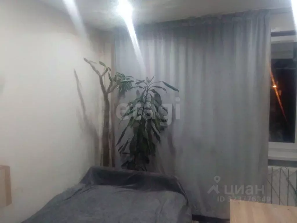 Студия Красноярский край, Красноярск Зеленая Роща мкр, ул. ... - Фото 2