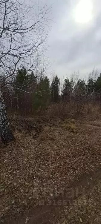 Участок в Иркутская область, Усолье-Сибирское  (10.0 сот.) - Фото 1