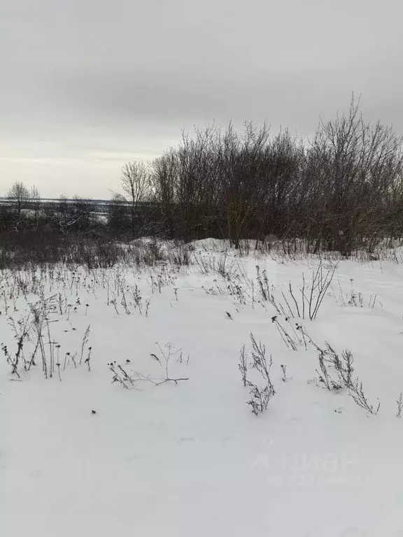 Участок в Курская область, Курский район, Щетинский сельсовет, д. ... - Фото 2