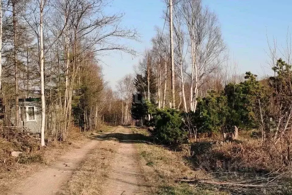 Участок в Сахалинская область, Южно-Сахалинск Златоглазка СНТ, ул. ... - Фото 0