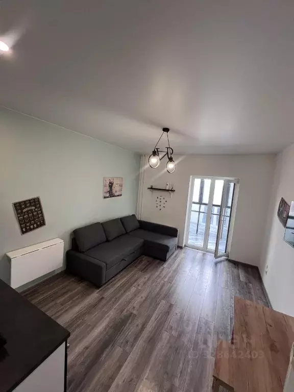 Студия Псковская область, Псковский район, Писковичская волость, д. ... - Фото 2