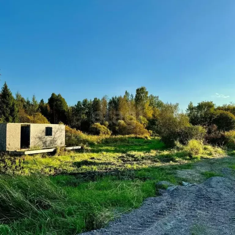 Участок в Ленинградская область, Приозерский район, Красноозерное ... - Фото 0