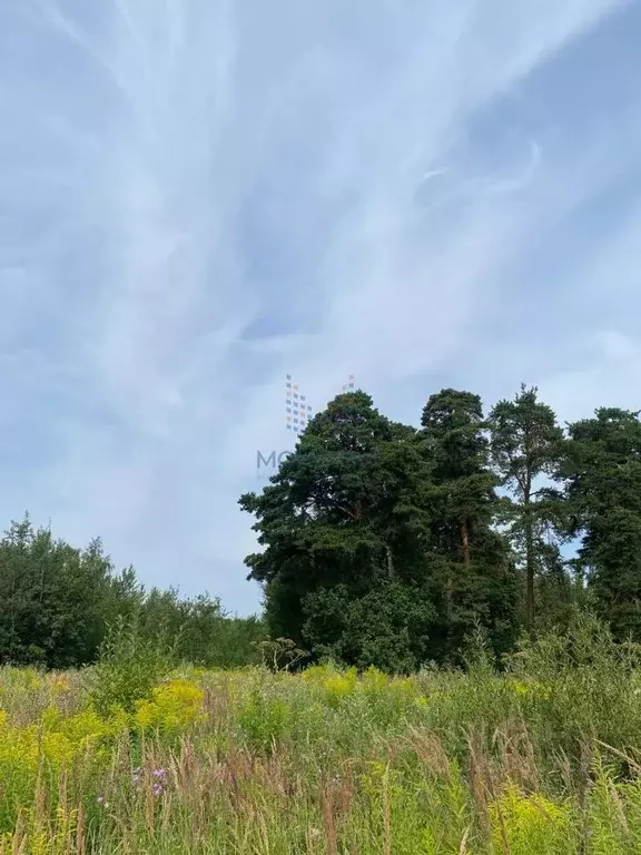 Участок в Московская область, Ленинский городской округ, д. Суханово, ... - Фото 2