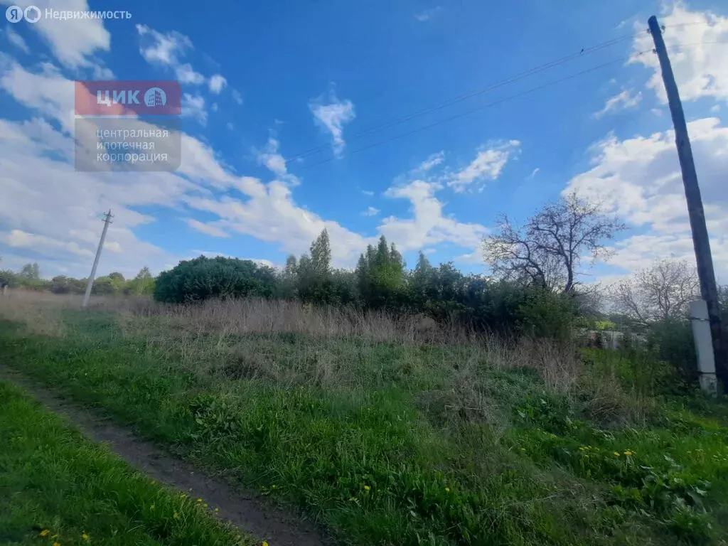 Участок в Рязанская область, Михайловский муниципальный округ, деревня ... - Фото 2