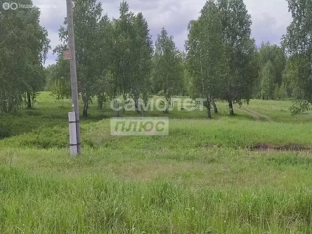 Участок в Челябинская область, Сосновский муниципальный округ, село ... - Фото 2