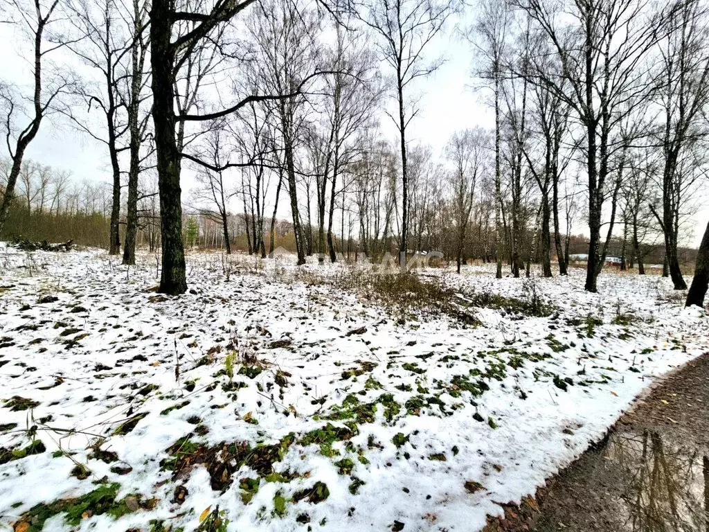 Участок в Московская область, городской округ Коломна, посёлок ... - Фото 1