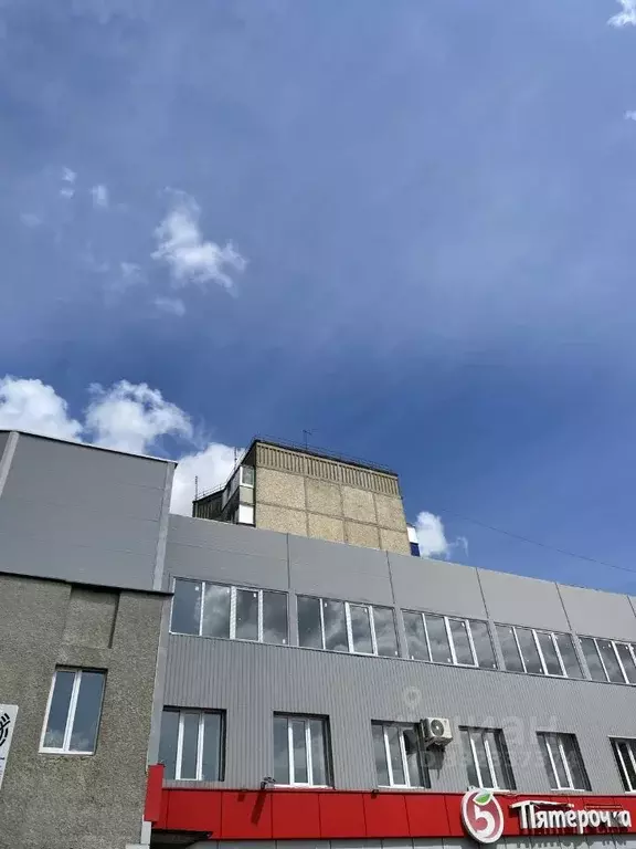 2-к кв. Липецкая область, Елец Юбилейная ул., 19 (50.0 м) - Фото 2
