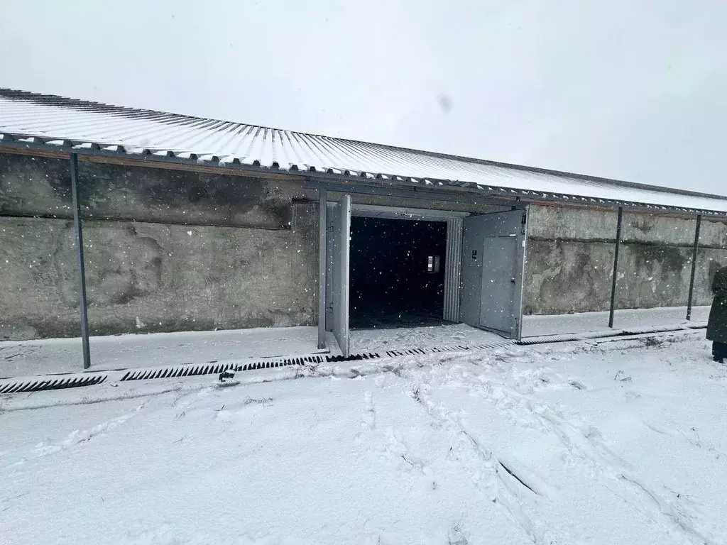 Производственное помещение в Московская область, Раменский ... - Фото 1