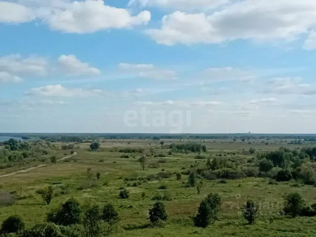 Участок в Владимирская область, Муром с. Панфилово,  (14.8 сот.) - Фото 0