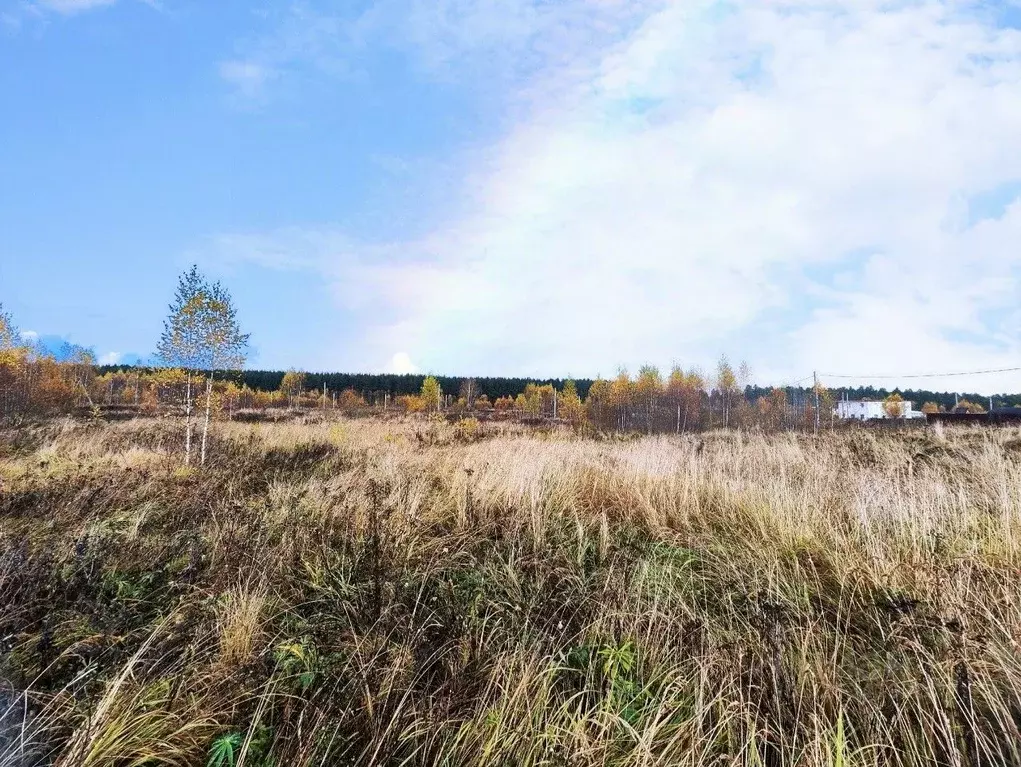 Участок в Владимирская область, Кольчугино ул. Верещагина (10.0 сот.) - Фото 2