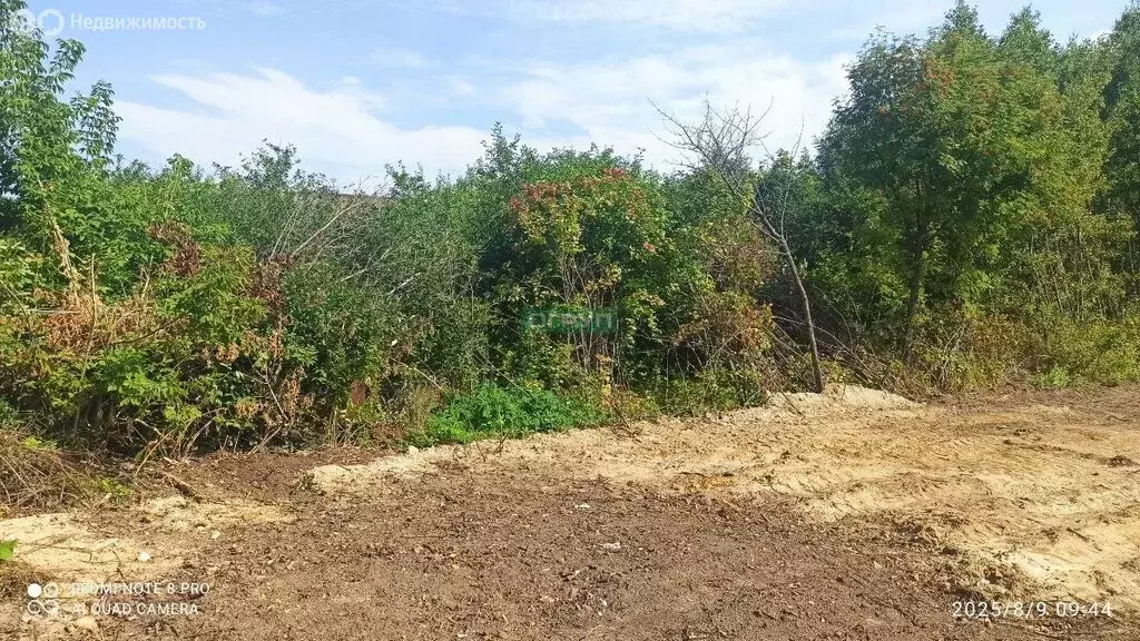 Участок в Пензенский район, Алферьевский сельсовет, село Алферьевка (5 ... - Фото 2