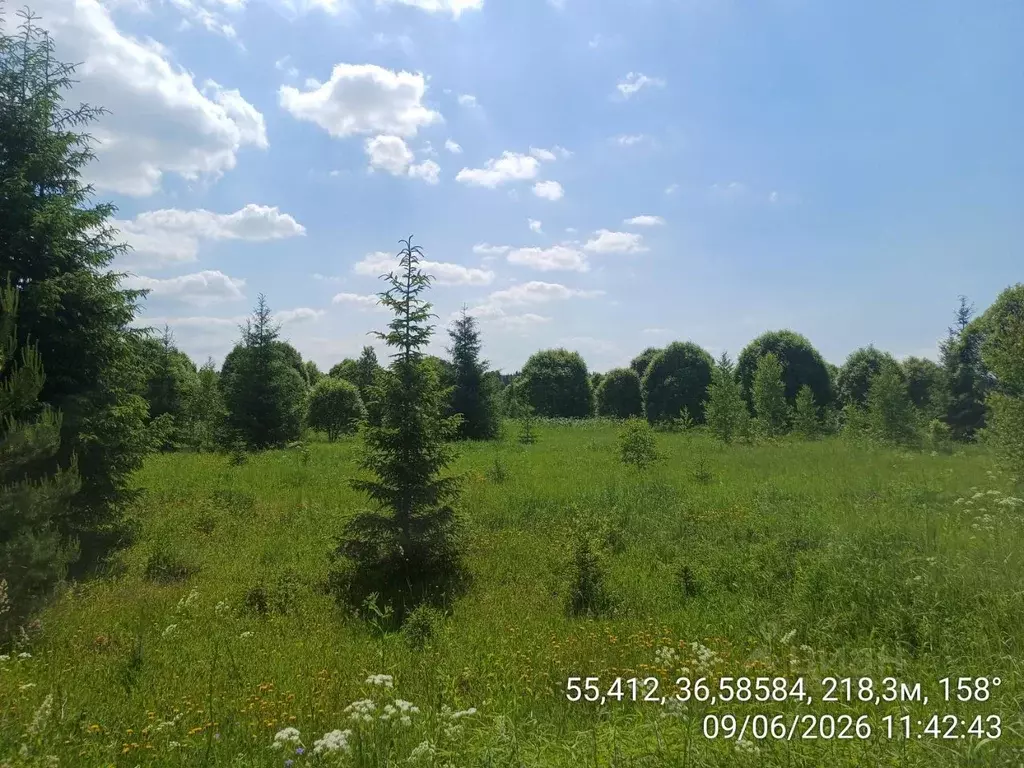 Участок в Московская область, Наро-Фоминский городской округ, д. ... - Фото 1