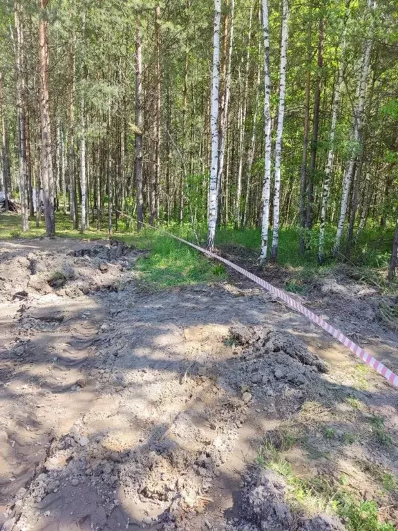 Участок в Новосибирская область, Новосибирский район, Кубовинский ... - Фото 1