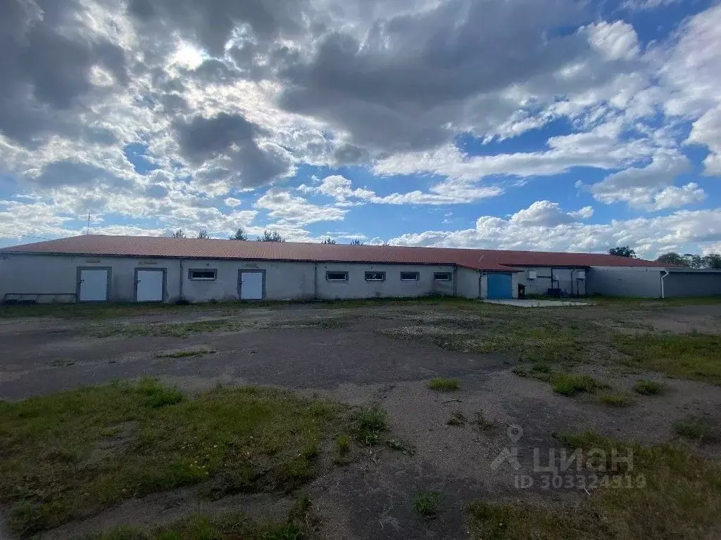 Производственное помещение в Калининградская область, Гвардейский ... - Фото 0