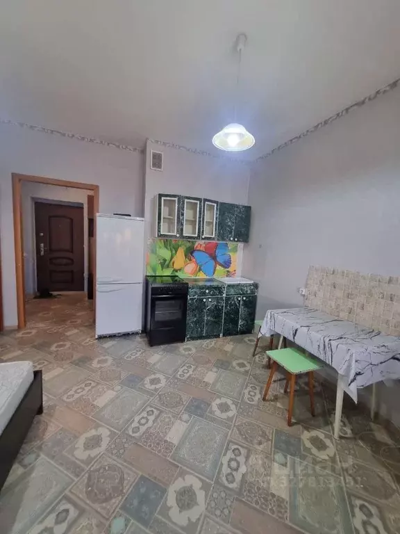 Студия Хакасия, Абакан ул. Маршала Жукова, 89 (28.0 м) - Фото 2