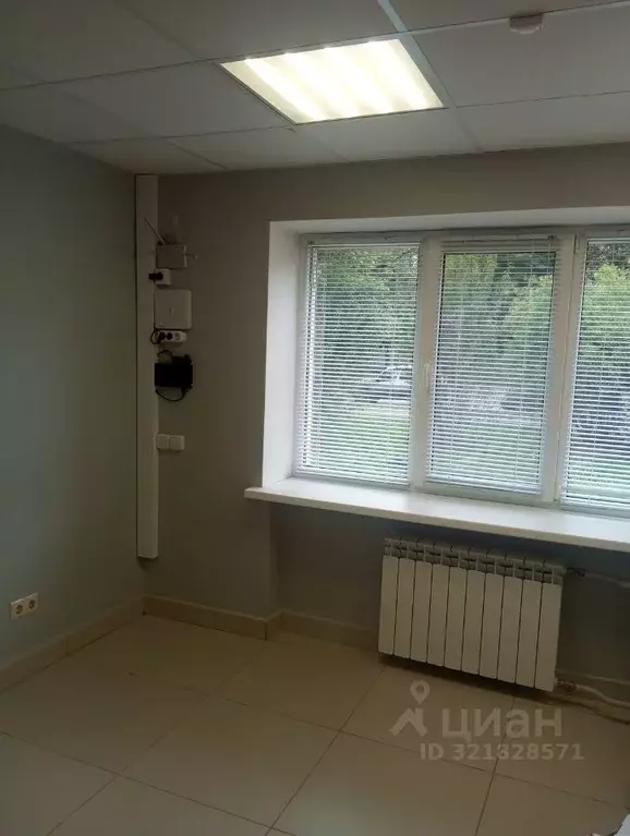 Помещение свободного назначения в Псковская область, Псков ул. ... - Фото 1