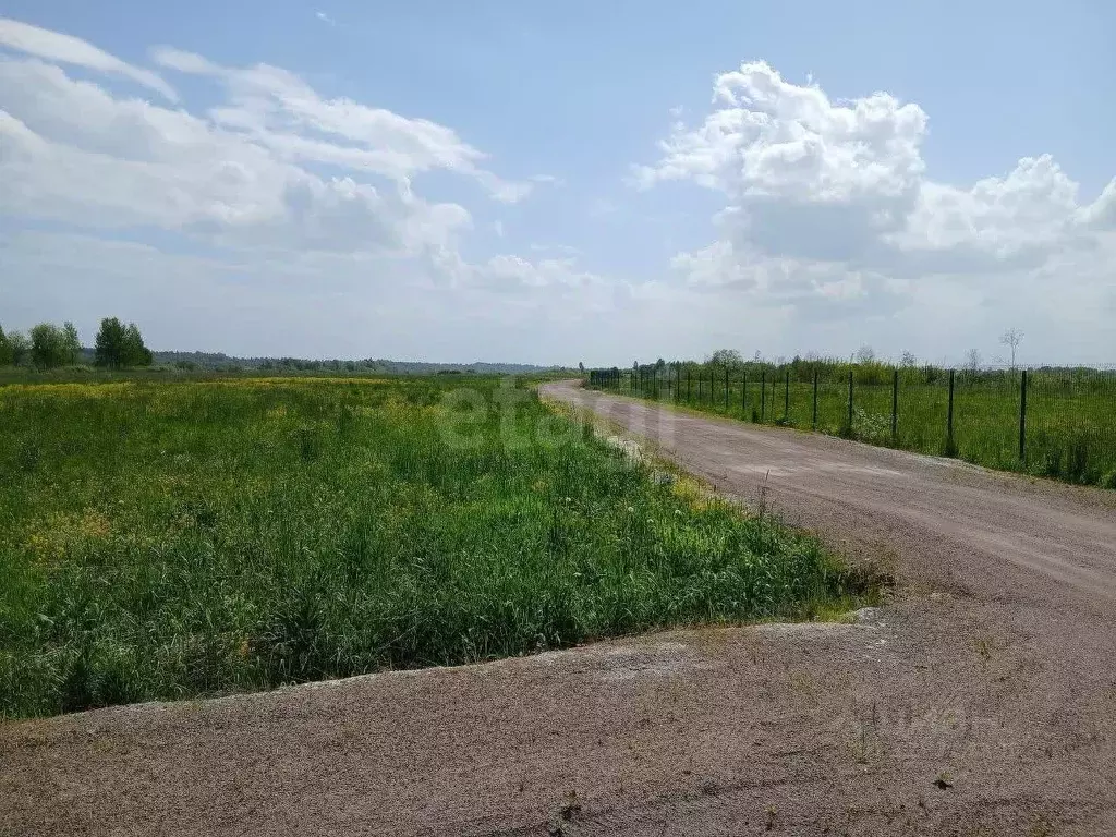 Участок в Ленинградская область, Волховский район, Староладожское ... - Фото 1