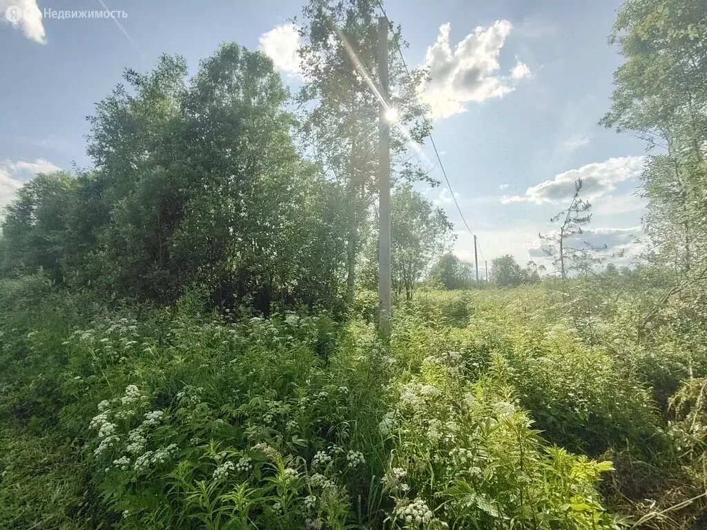 Участок в Волхов, микрорайон Шкурина Горка (12.5 м) - Фото 1