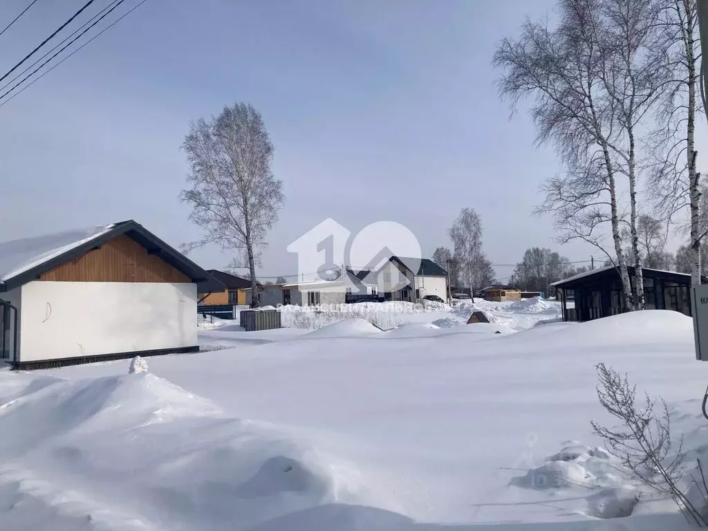 Участок в Новосибирская область, Новосибирский район, Каменский ... - Фото 1
