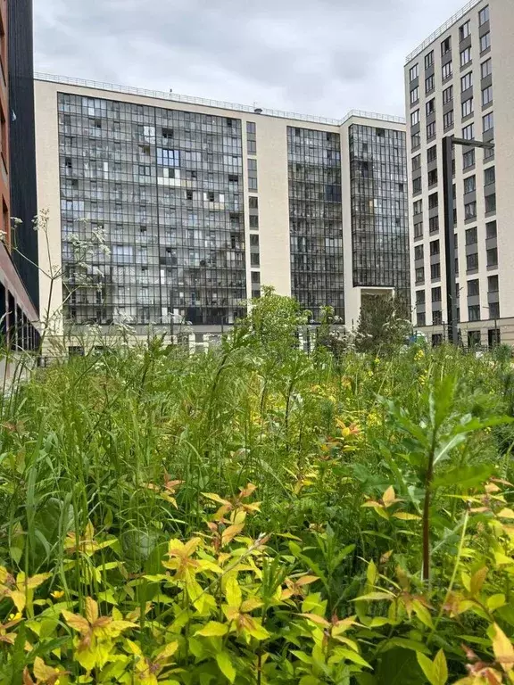 1-к кв. Санкт-Петербург аллея Арцеуловская, 7к2 (32.6 м) - Фото 1