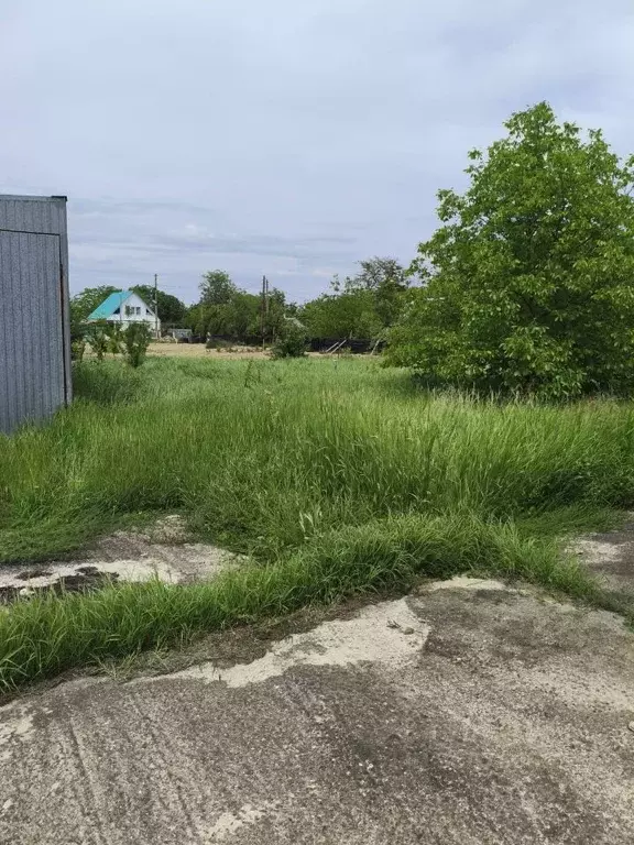 Участок в Краснодарский край, Анапа муниципальный округ, Нижняя ... - Фото 2