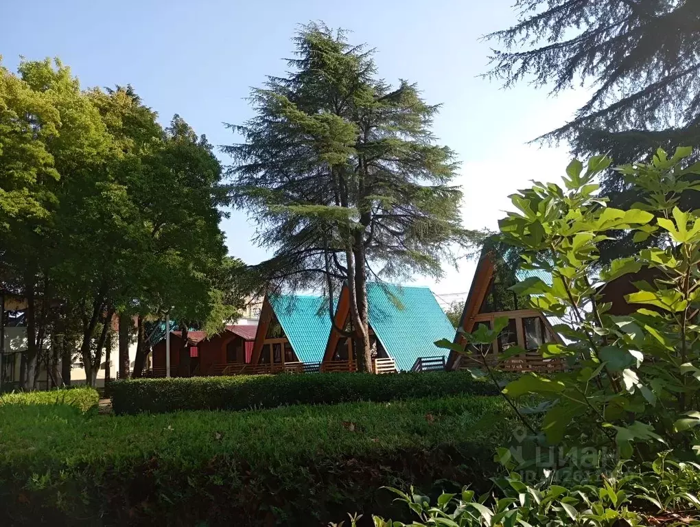 Дом в Краснодарский край, Сочи Головинка мкр, ул. Коммунаров, 33 (42 ... - Фото 1