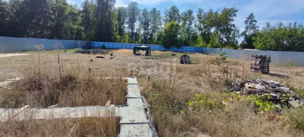 Участок в Воронежская область, Воронеж Никольское мкр, ул. 6-й ... - Фото 1