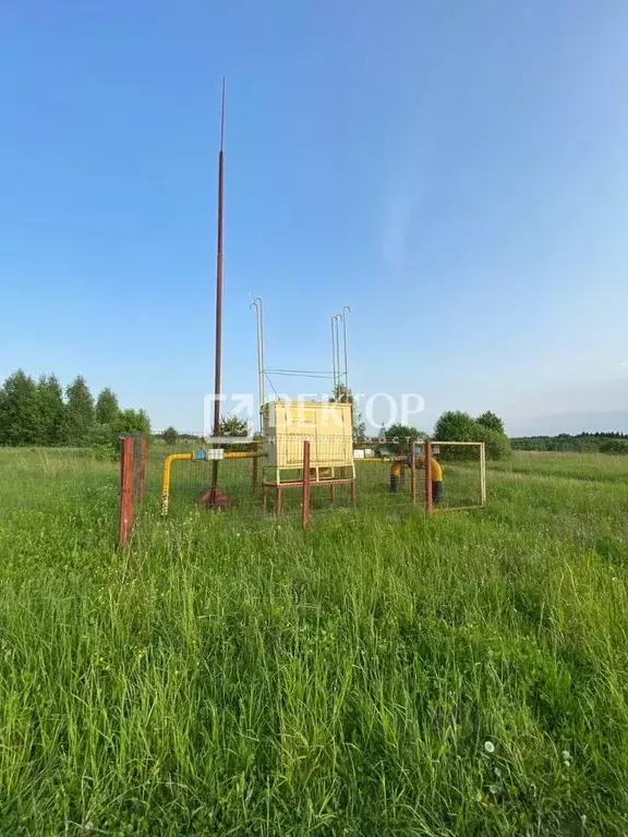 Участок в Костромская область, Костромской район, Чернопенское с/пос, ... - Фото 2