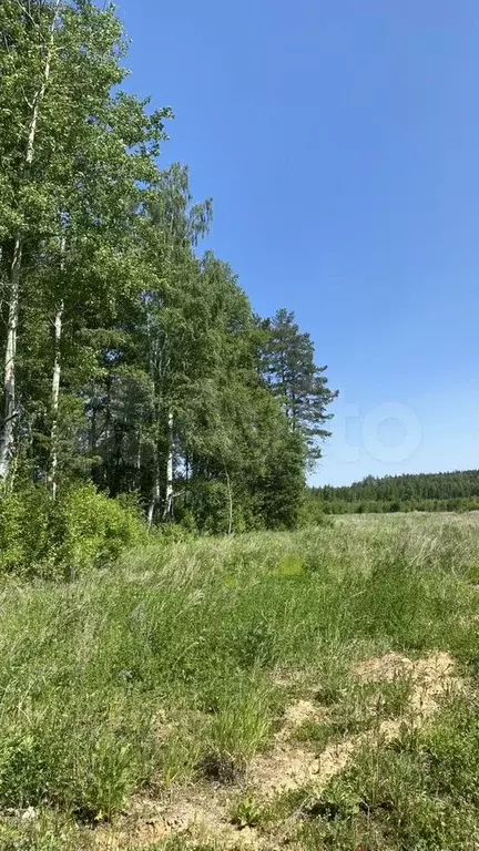 Участок 10 сот. (СНТ, ДНП) - Фото 1