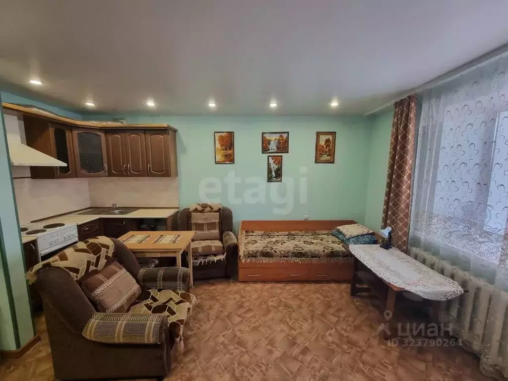 Студия Амурская область, Благовещенск Батарейная ул., 7 (29.9 м) - Фото 2