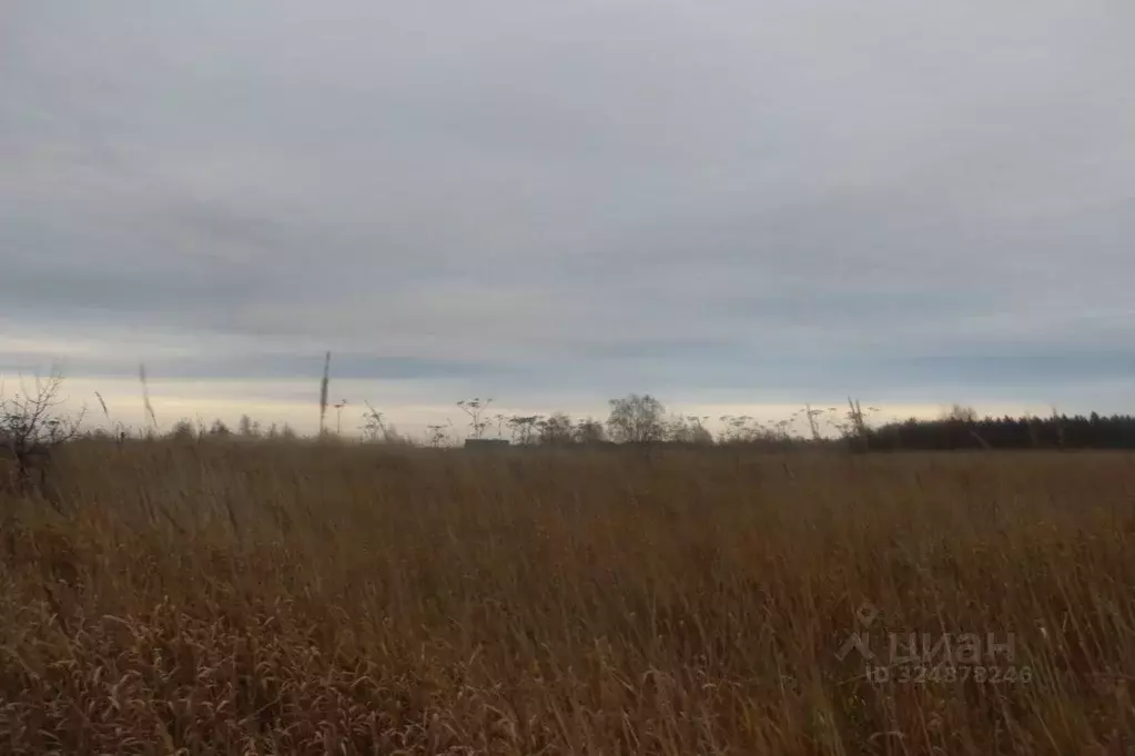 Участок в Московская область, Шаховская муниципальный округ, с. Белая ... - Фото 1