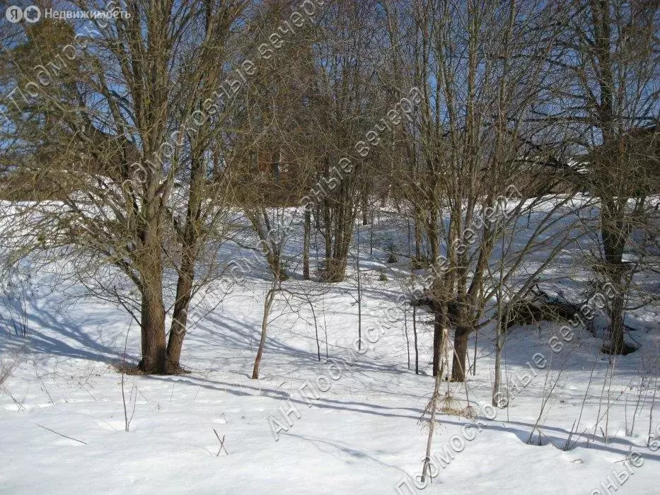 Участок в Московская область, Рузский муниципальный округ, деревня ... - Фото 1