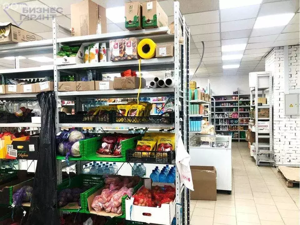 Помещение свободного назначения (880.5 м) - Фото 2